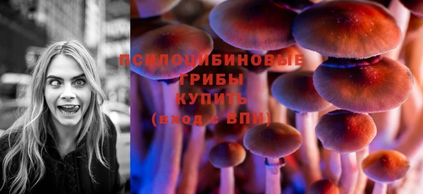 молекула духа Богородск