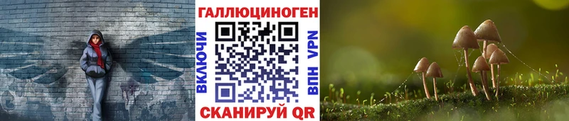 Галлюциногенные грибы прущие грибы  Якутск 